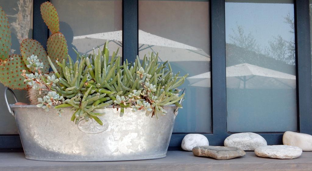 Apartamento I Freschi San Bartolomeo Al Mare Exterior foto
